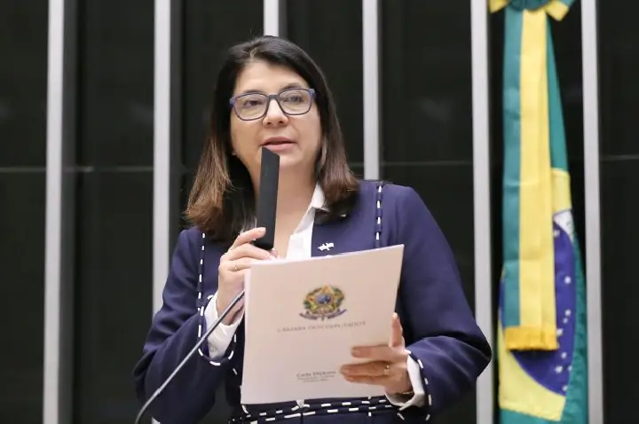 Comissão debate assistência consular e proteção de brasileiros no exterior