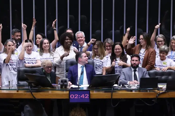Lei regulamenta exercício da psicopedagogia com veto a requisitos de formação
