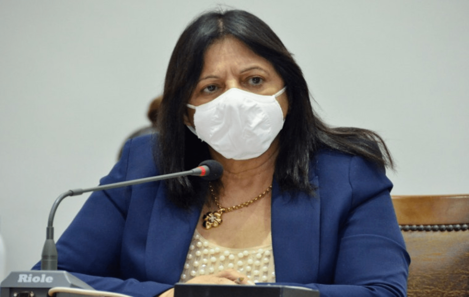 Requerimento de Valderez pede recuperação de rodovia no Bico do Papagaio