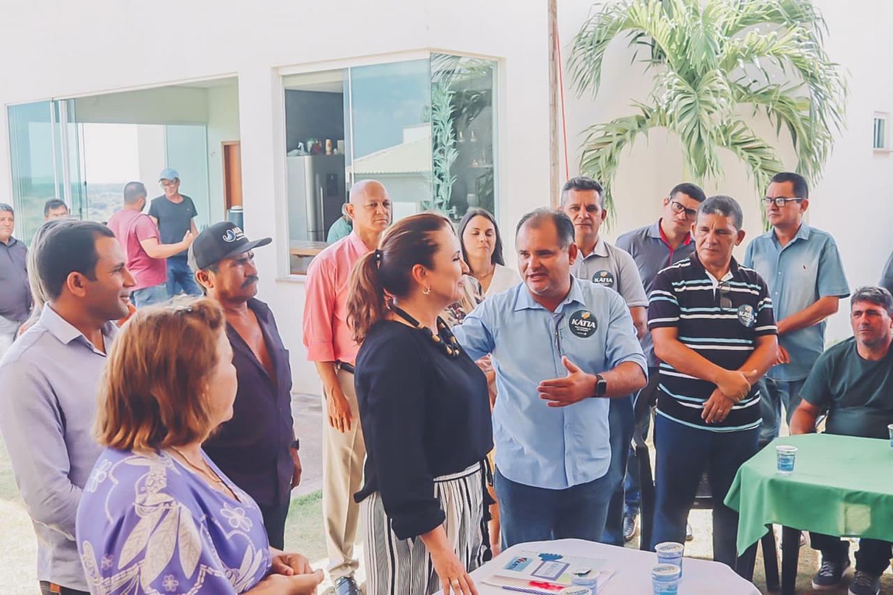 Dez prefeitos do Bico do Papagaio se reúnem com senadora Kátia para definir estratégias